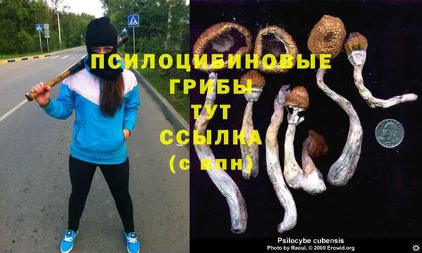 mix Белокуриха