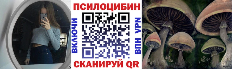 Галлюциногенные грибы GOLDEN TEACHER магазин гидра маркетплейс Кодинск